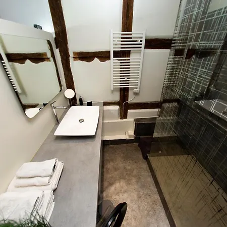 Gite See You Soon - Le Loft Colmar Extérieur photo